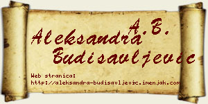Aleksandra Budisavljević vizit kartica